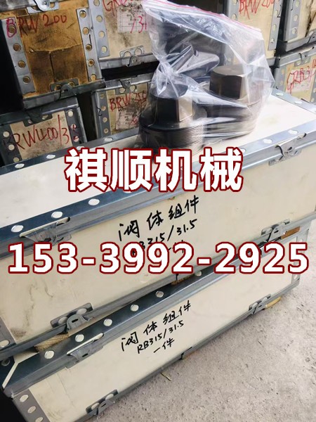 WRB200/31.5乳化液泵泵头组件 卸载阀安全阀 先导阀图1