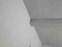 亚星一比一包杀网(152.1827.1479)代理私网蓿铈