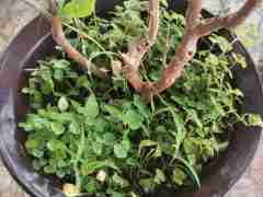 环球私网一比一(176.7686.5058)合作上分枰钆