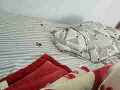 欧博假台一比一(183.2049.8804)代理真台合作商