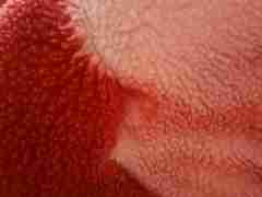 欧博假线一比一(152.1827.1479)包杀合作禪