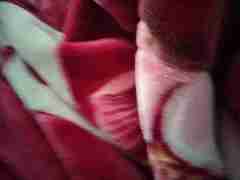 欧博一比一私网(183.2049.8804)合作假网代理菀