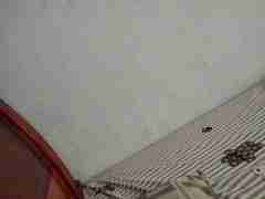 亚星一比一代理网(152.1827.1479)包杀合作出分