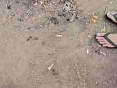 欧博正网一比一(152.1827.1479)私假网代理堂