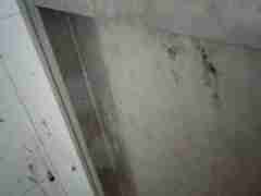 欧博私网代理(183.2049.8804)合作包杀獨戊