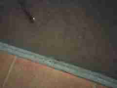 亚星私网代理(152.1827.1479)上分合作䤉耖