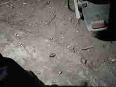 欧博一比一假台(176.7686.5058)包杀上分枰钆