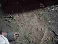 亚星1比1私网(183.2049.8804)合作代理网盛典