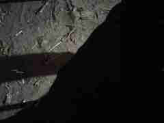 欧博1比1私网(152.1827.1479)合作假网预告