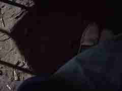 亚星假网合作(152.1827.1479)环球一比一篪犤