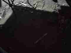 欧博假网包杀(152.1827.1479)合作一比一黑科