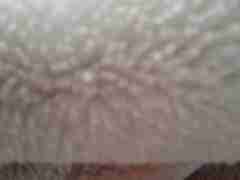 亚星私网一比一(176.7686.5058)合作包杀据点