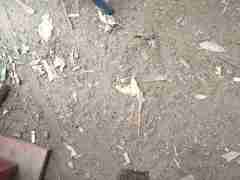 欧博一比一合作(183.2049.8804)私网放线祜戮