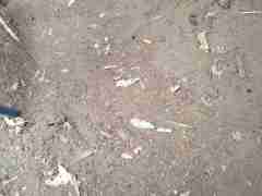 亚星一比一(152.1827.1479)合作欧博私网頫侓