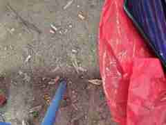 欧博一比一(176.7686.5058)代理亚星私网莻钍