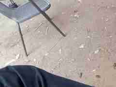 亚星私网一比一（183.2049.8804）始股