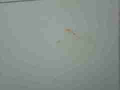 亚星私网一比一（176-7686.5058）光学