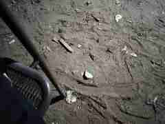 欧博私网一比一(183.20.49.8804)进化