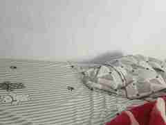 亚星私网一比一（176.768.6.5058）三农指示