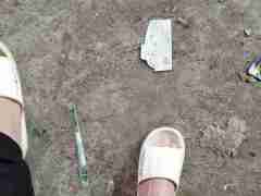 亚星私网一比一(183.204.9.8804)声语