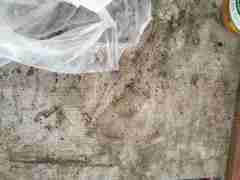 欧博私网一比一(152.18.27.1479)交流会